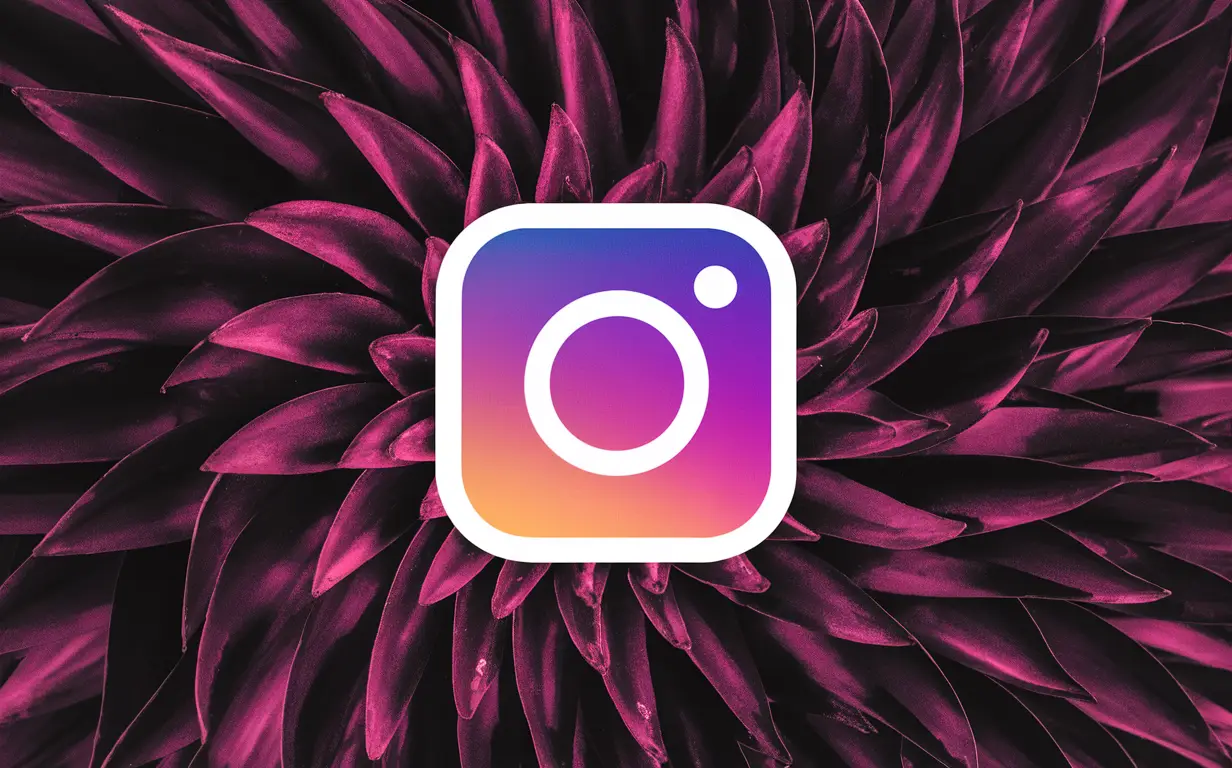 Instagram Growth Service